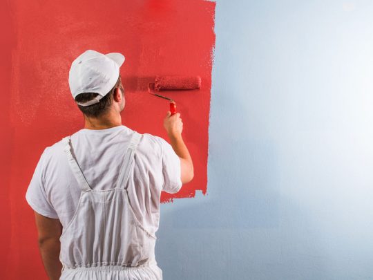 professional-house-painter